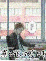 青苹果音乐季 综艺海报